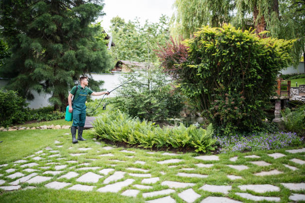 Best Pest Control Near Me in Camanche Village, CA