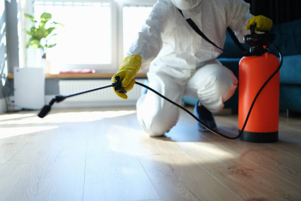 Flea Control Services in Camanche Village, CA