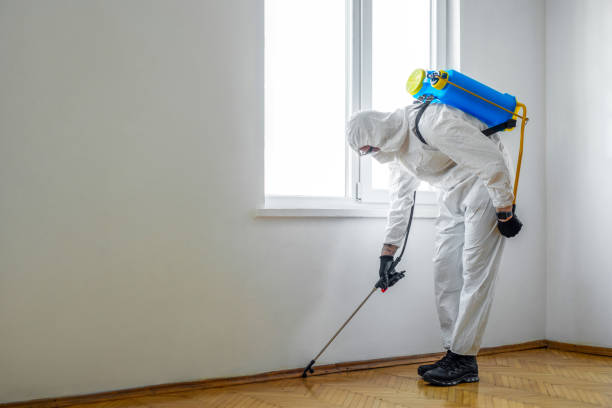 Best Commercial Pest Control Services  in Manche Village, CA