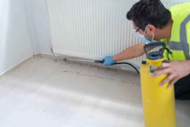 Best Exterminator Services  in Manche Village, CA