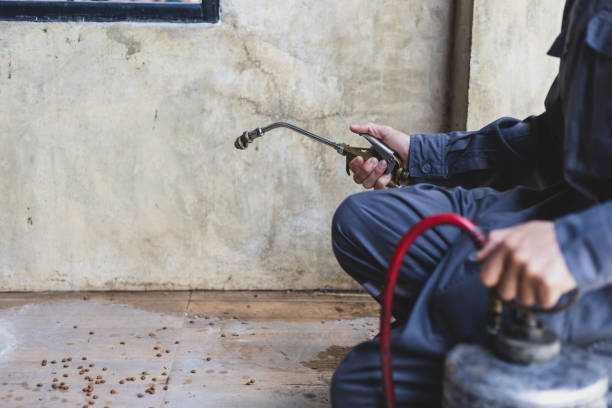 Best Pest Removal Services  in Manche Village, CA