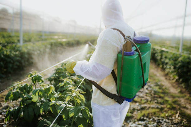 Professional Pest Control in Camanche Village, CA